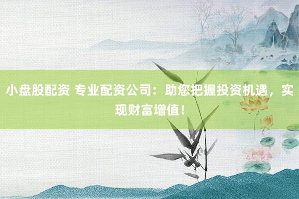 小盘股配资 专业配资公司：助您把握投资机遇，实现财富增值！