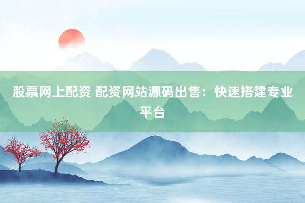 股票网上配资 配资网站源码出售：快速搭建专业平台
