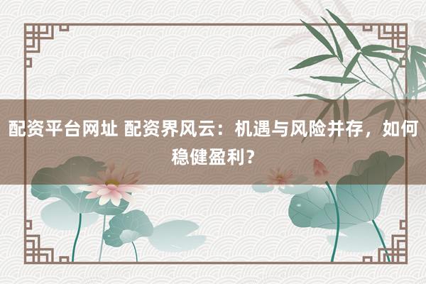 配资平台网址 配资界风云：机遇与风险并存，如何稳健盈利？