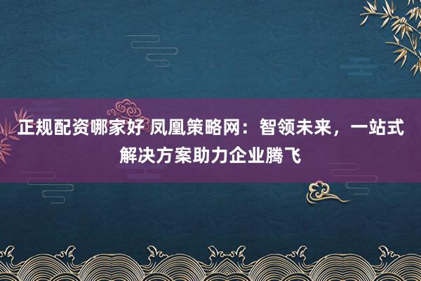 正规配资哪家好 凤凰策略网：智领未来，一站式解决方案助力企业腾飞