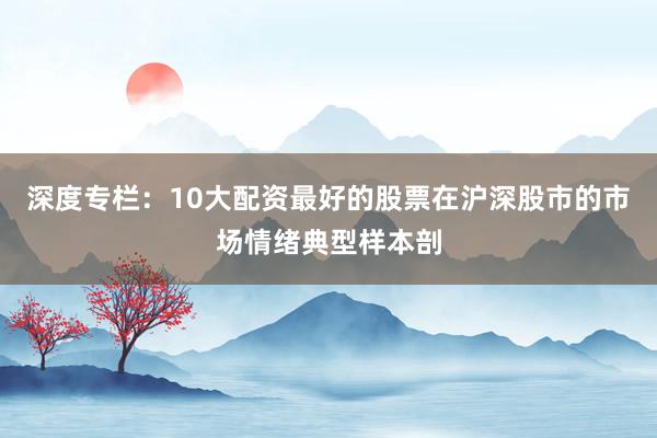 深度专栏：10大配资最好的股票在沪深股市的市场情绪典型样本剖