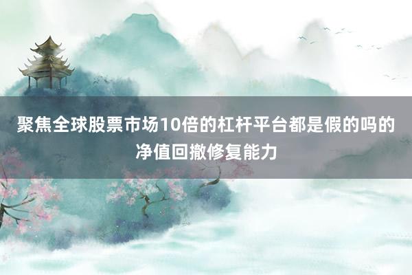 聚焦全球股票市场10倍的杠杆平台都是假的吗的净值回撤修复能力
