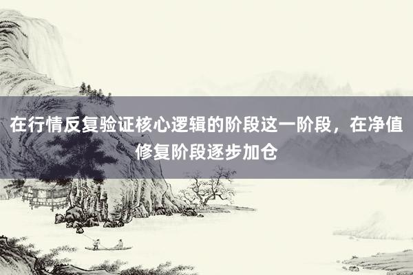 在行情反复验证核心逻辑的阶段这一阶段，在净值修复阶段逐步加仓