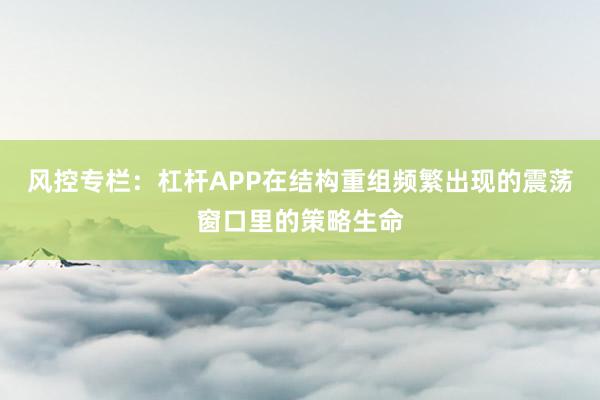 风控专栏：杠杆APP在结构重组频繁出现的震荡窗口里的策略生命