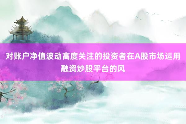 对账户净值波动高度关注的投资者在A股市场运用融资炒股平台的风