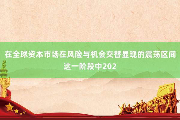 在全球资本市场在风险与机会交替显现的震荡区间这一阶段中202