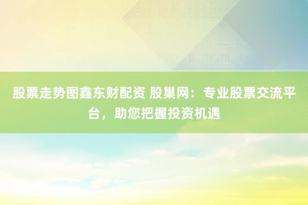 股票走势图鑫东财配资 股巢网：专业股票交流平台，助您把握投资机遇